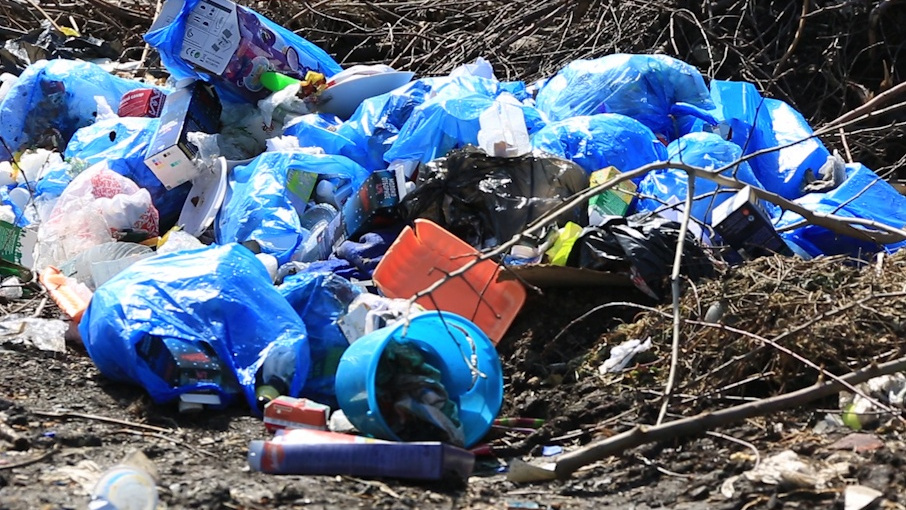 Уполномоченный добился ликвидации мусорной свалки возле ж/д путей в Гатчинском районе